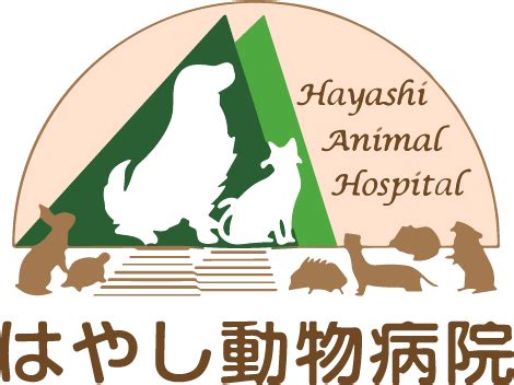 はやし動物病院でペットの健康を最優先