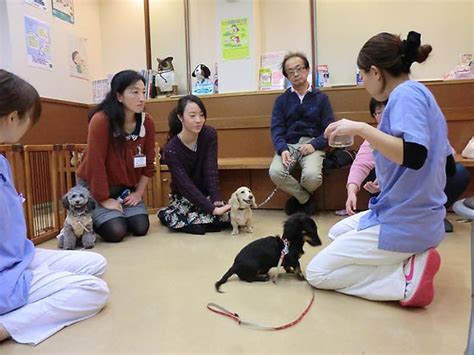 はやし動物病院 成田について