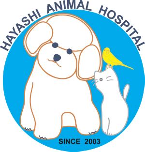 はやし動物病院 成田：ペットの健康と幸せのための包括的なケア