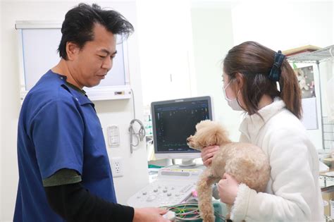 ひまわり動物病院 東海村: 信頼できるペットの健康管理パートナー