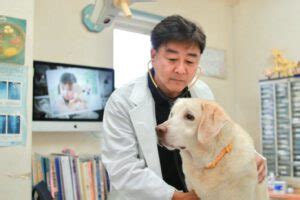 ひまわり動物病院 東海村であなたとペットの健康を守る