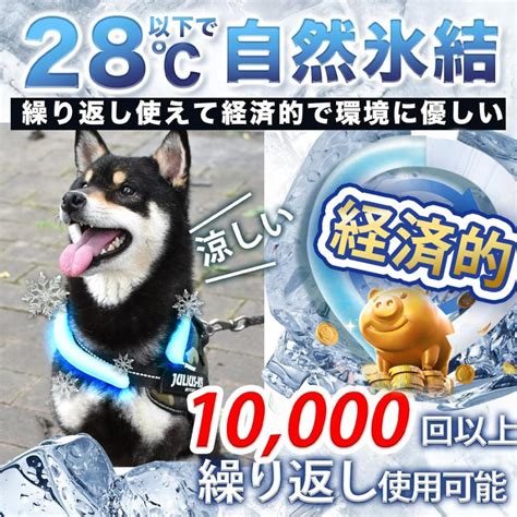 ひんやりグッズで愛犬の暑さ対策 万全に！