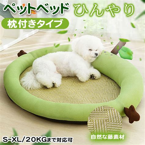 ひんやりペットベッドで愛犬を夏バテから守ろう！