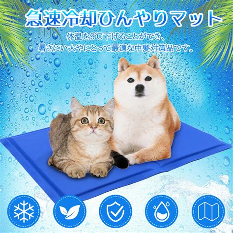 ひんやりペットマットで愛犬を夏の暑さから守ろう！