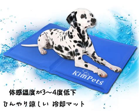 ひんやりマットで愛犬を夏の暑さから守ろう！