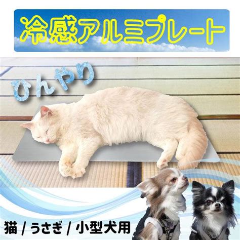 ひんやりマットで猫の暑さ対策！快適な夏をサポート