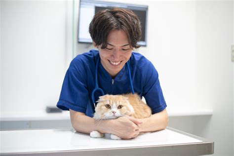 ふじい動物病院でペットの健康を守る