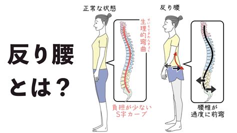 へっぴり腰を根本から改善し、姿勢と動作を美しくする完全ガイド