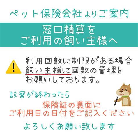 ぼたん動物病院：すべてのご家庭のペットのための包括的な獣医療