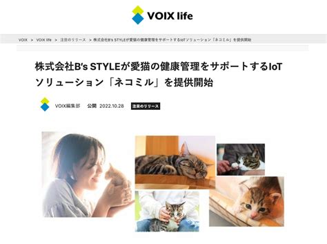 ぽっちゃりネコの健康管理ガイド：愛猫の幸せな生涯のために