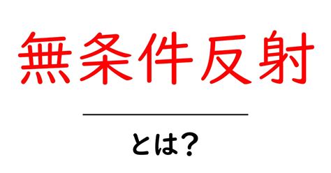 またたき 意味を徹底解説：その仕組みと驚くべき効果