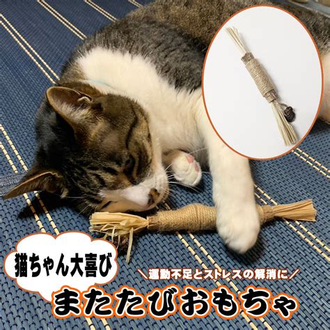 またたびおもちゃで愛猫の幸せと健康をサポートしよう！