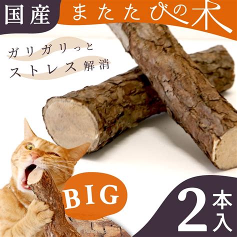 またたびで猫が魅了される理由とは？Amazonで購入できるお得なまたたび製品をご紹介