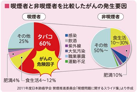 またたびと人間への害について