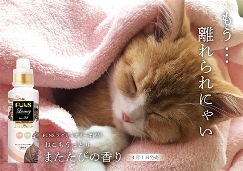 またたびの匂い：猫に魅惑的な魅惑の香