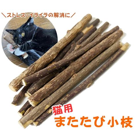 またたびの木、猫が食べる理由