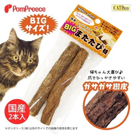 またたびの枝を与えると猫にどのような効果があるのか