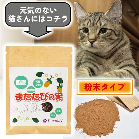 またたびの粉：猫ちゃんのための魅惑の粉末