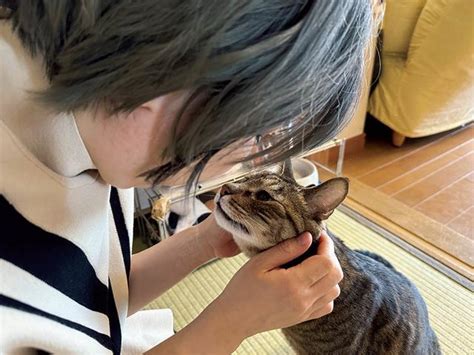 またたびの食べ方：愛猫の健康と幸せのための究極ガイド