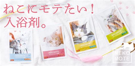 またたびの香りに誘われて：猫カフェ体験のすべて