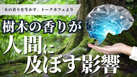 またたびの香り人間に及ぼす影響