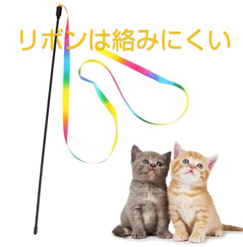 またたびボールで愛猫のストレス解消と健康維持を！