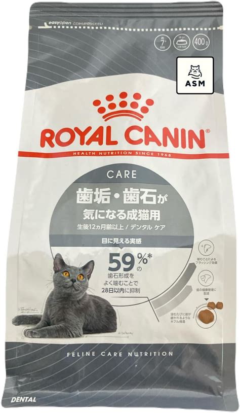 またたびボールを効果的に活用する：愛猫の健康と幸せのために