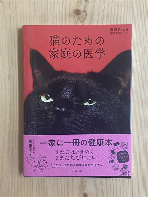 またたび玉：愛猫の健康と幸せのための魅惑の秘策