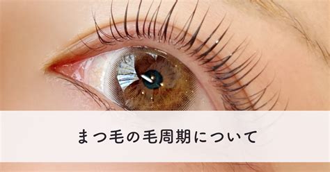 まつ毛に目やにができる原因と対策