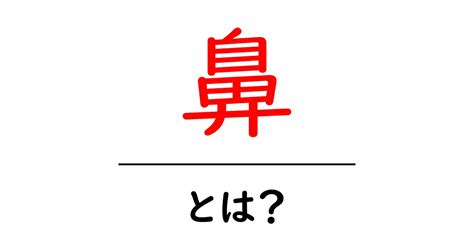 まばたきの意味：人体に欠かせない重要な役割とは？