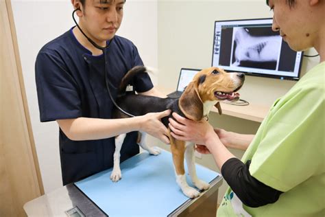 みずほ台動物病院の特長