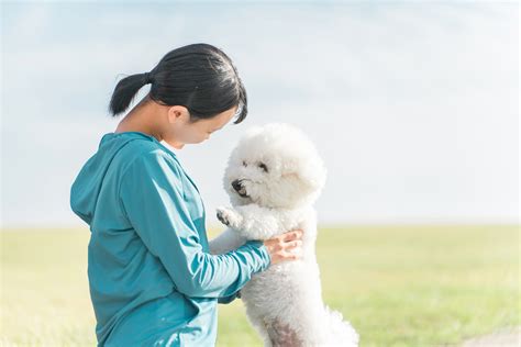 みたぞの動物病院でペットの健康を守る