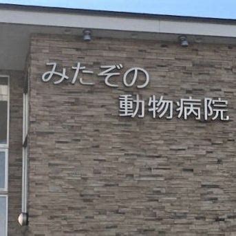 みたぞの動物病院：あなたのパートナーの健康を守る