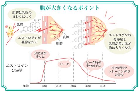 みとちゃん胸が瞬時に大きくなる理由