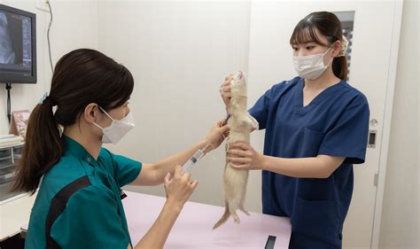 みわ エキゾチックで魅惑の動物王国を体験しよう