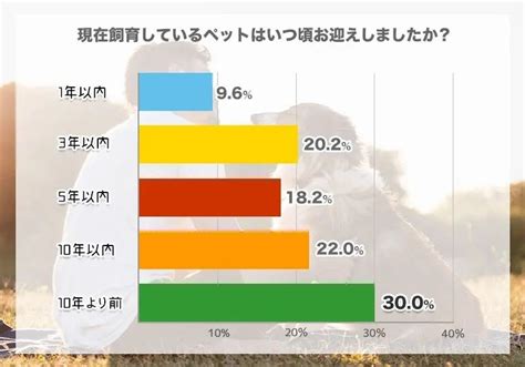 むくみでお悩みのペットオーナー様へ