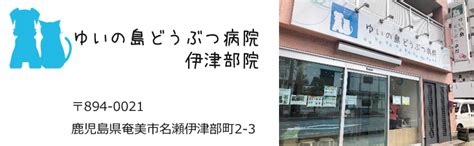 ゆい の 島 どうぶつ 病院で、あなたの大切なペットを最善のケアへ導きましょう