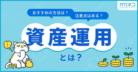 ようぺで資産運用をマスターしよう：初心者向けの包括ガイド