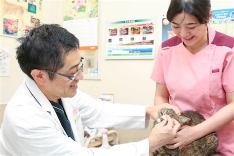 よこくら動物病院でペットの健康を守ろう！