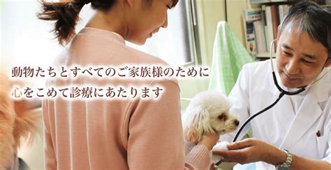 よこやま動物病院でペットの健康を守ろう