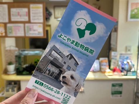 よこやま動物病院に関する有益な情報