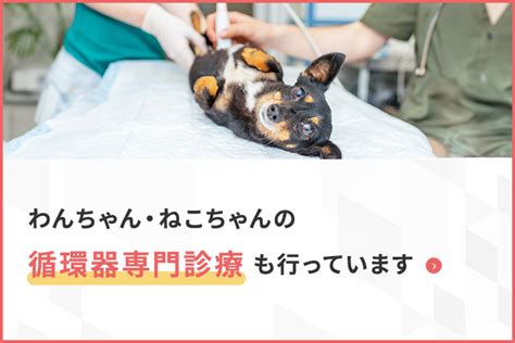 よこやま だい 動物 病院：信頼できる獣医療を提供