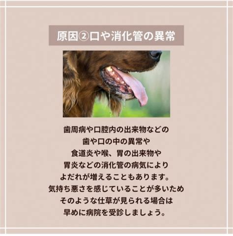 よだれ犬の原因