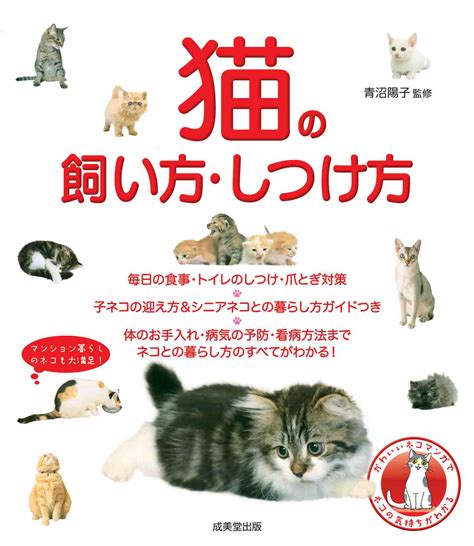 よだれ猫の飼い方：愛らしいけど悩ましい？