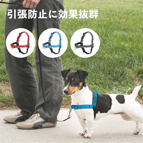 らくらくハーネスで愛犬との散歩を快適に！