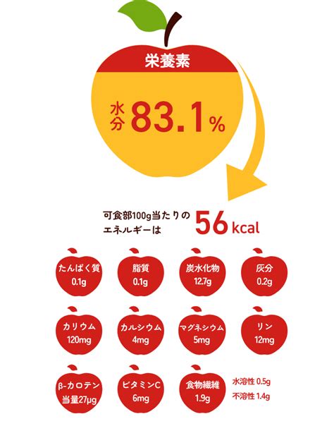 りんごの健康上の利点に関する包括ガイド：フレームワークから実用的なヒントまで