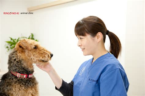 りんごの木動物病院であなたの大切なペットを安心してお任せください