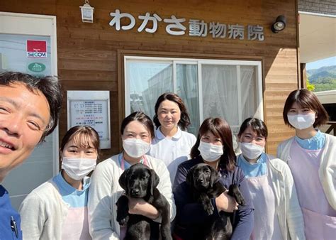 わかさ動物病院でペットの健康を守る