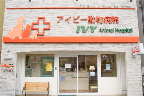 アイビー動物病院: あなたのペットを安心・安全にサポート