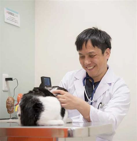 アイビー犬猫病院：ペットの健康と幸せを最優先に